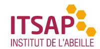 ITSAP : Participez aux ateliers Melliscope