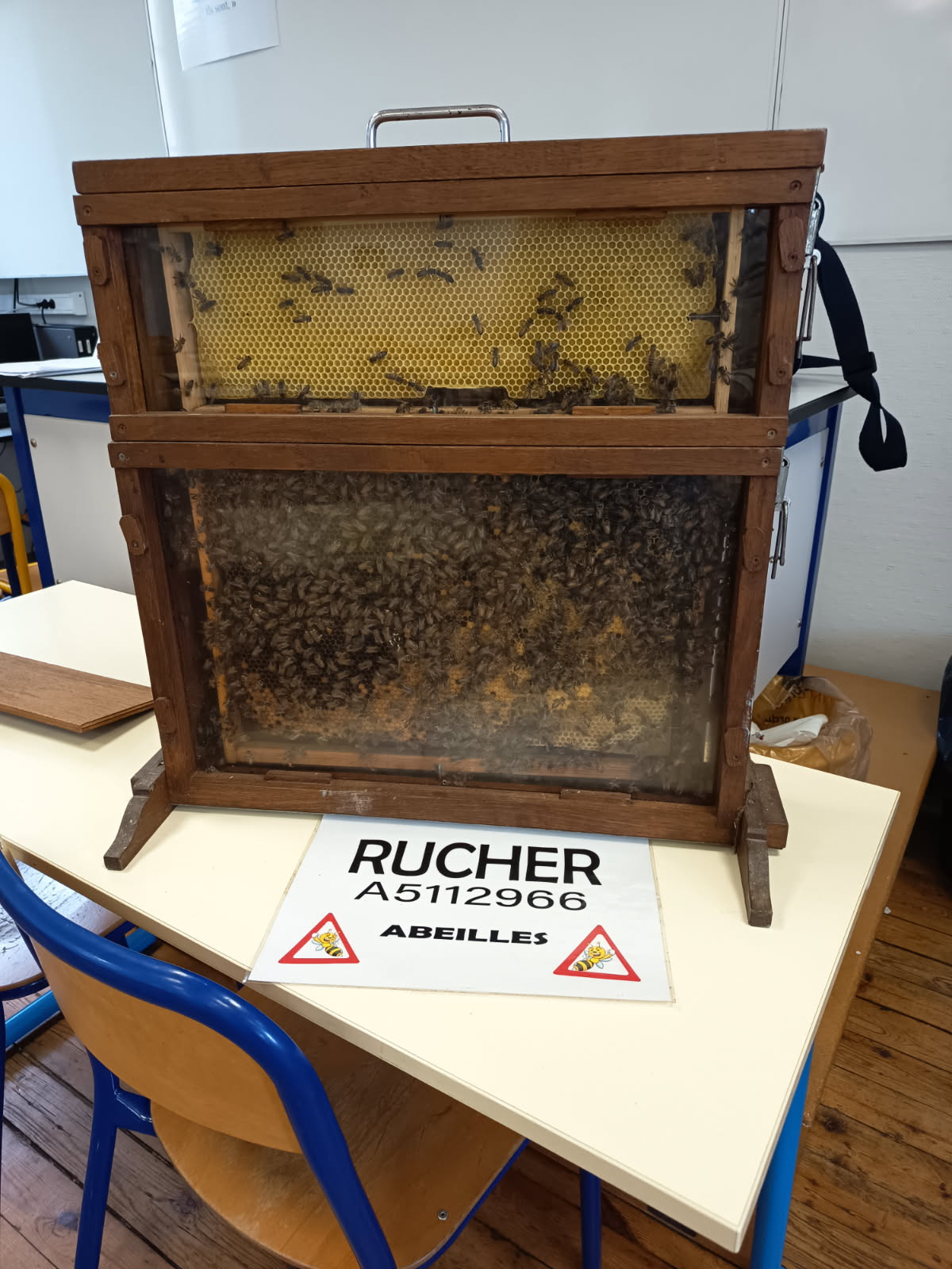 La Manche Apicole pour une intervention pédagogique