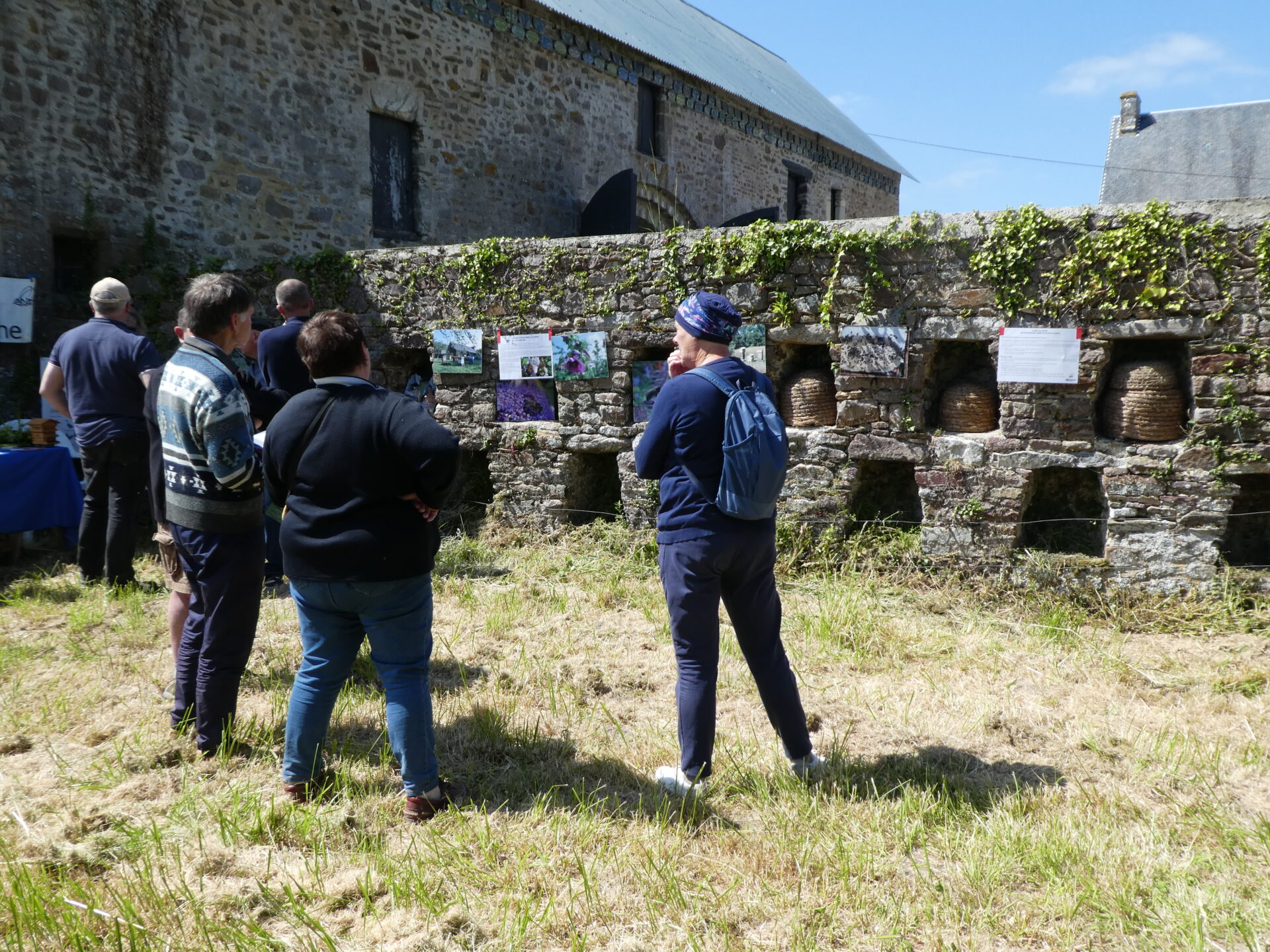 Les ‘’murs à abeilles’’ dans la Manche…