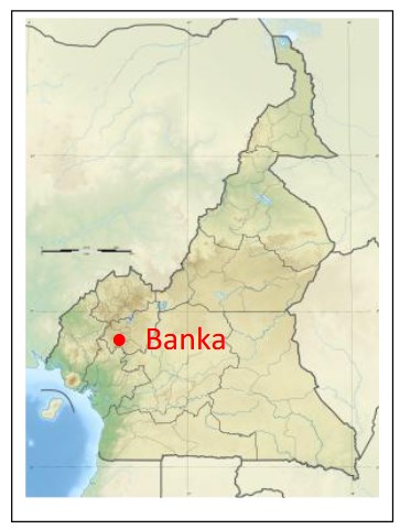 APPEL AUX DONS POUR UN PROJET AU CAMEROUN